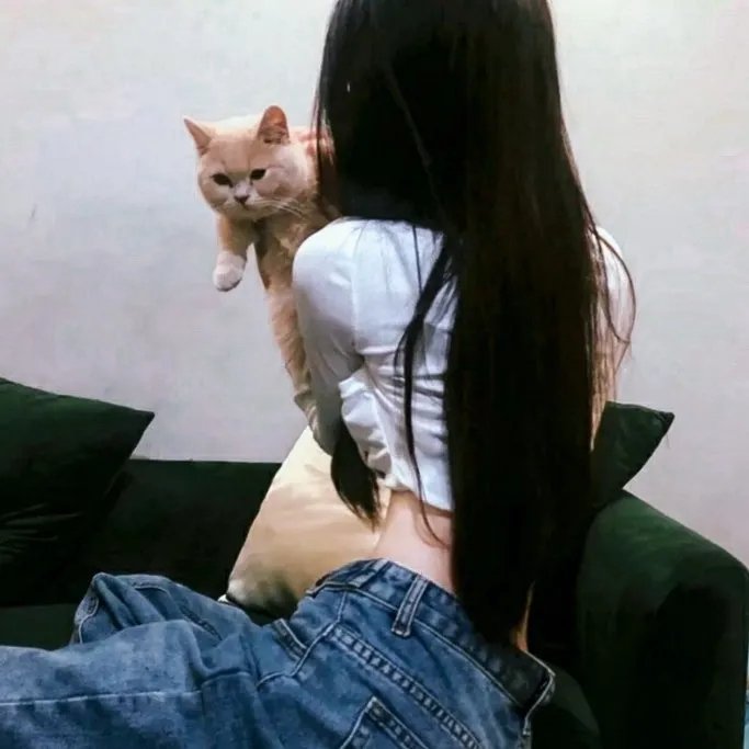 紧急呼救第三季